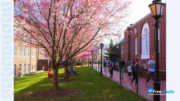University of Delaware photo #6