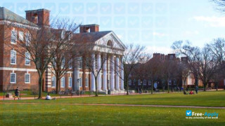 Miniatura de la University of Delaware #8