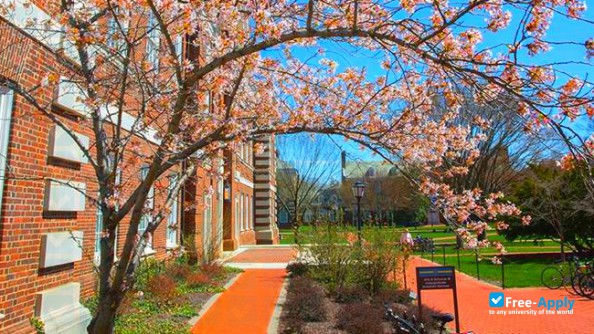 University of Delaware photo #7