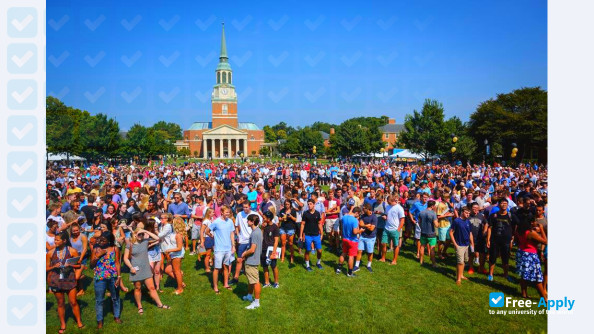 Wake Forest University photo #8
