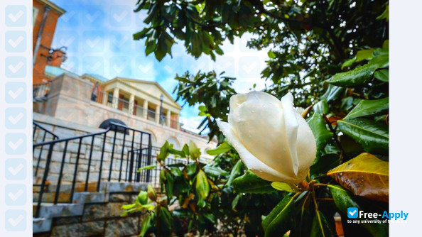 Wake Forest University photo #9