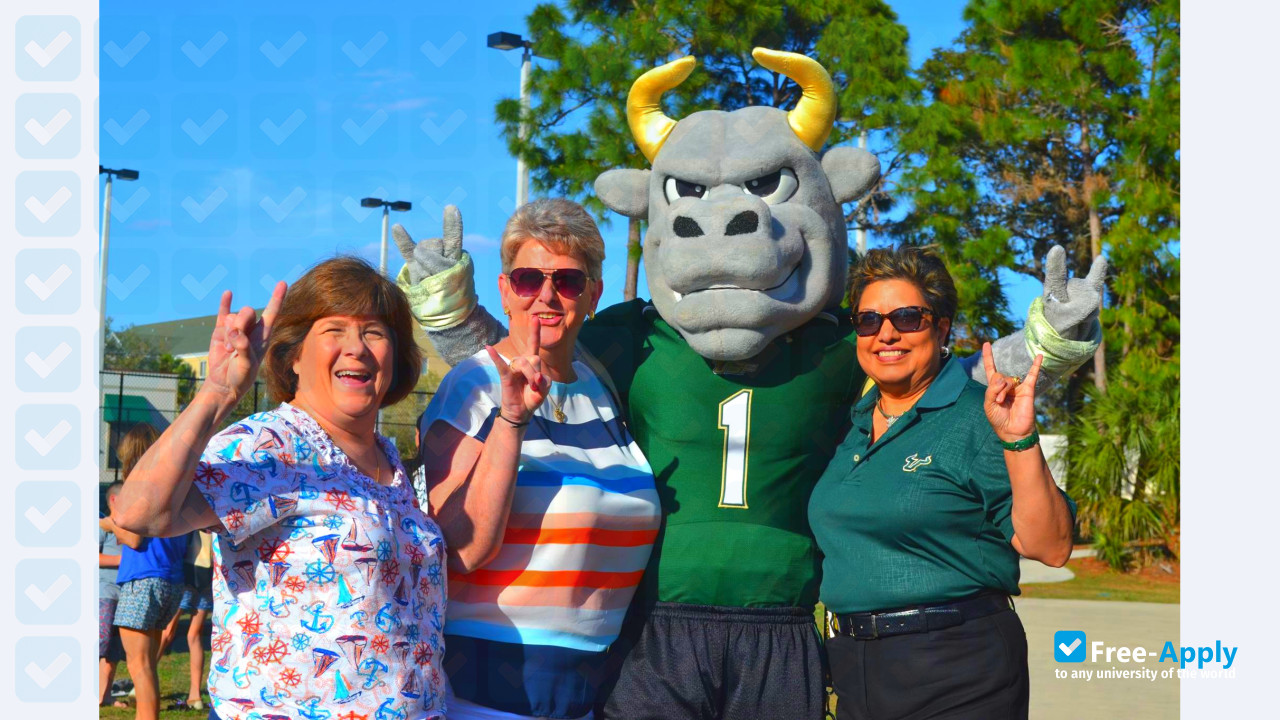University of South Florida Sarasota Manatee photo #10