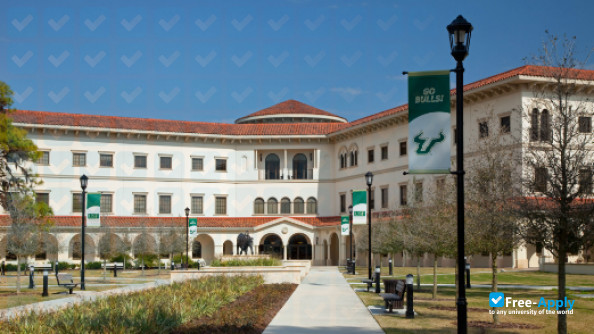 University of South Florida Sarasota Manatee photo #5