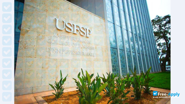 University of South Florida St Petersburg photo #16
