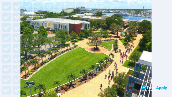 University of South Florida St Petersburg photo #3