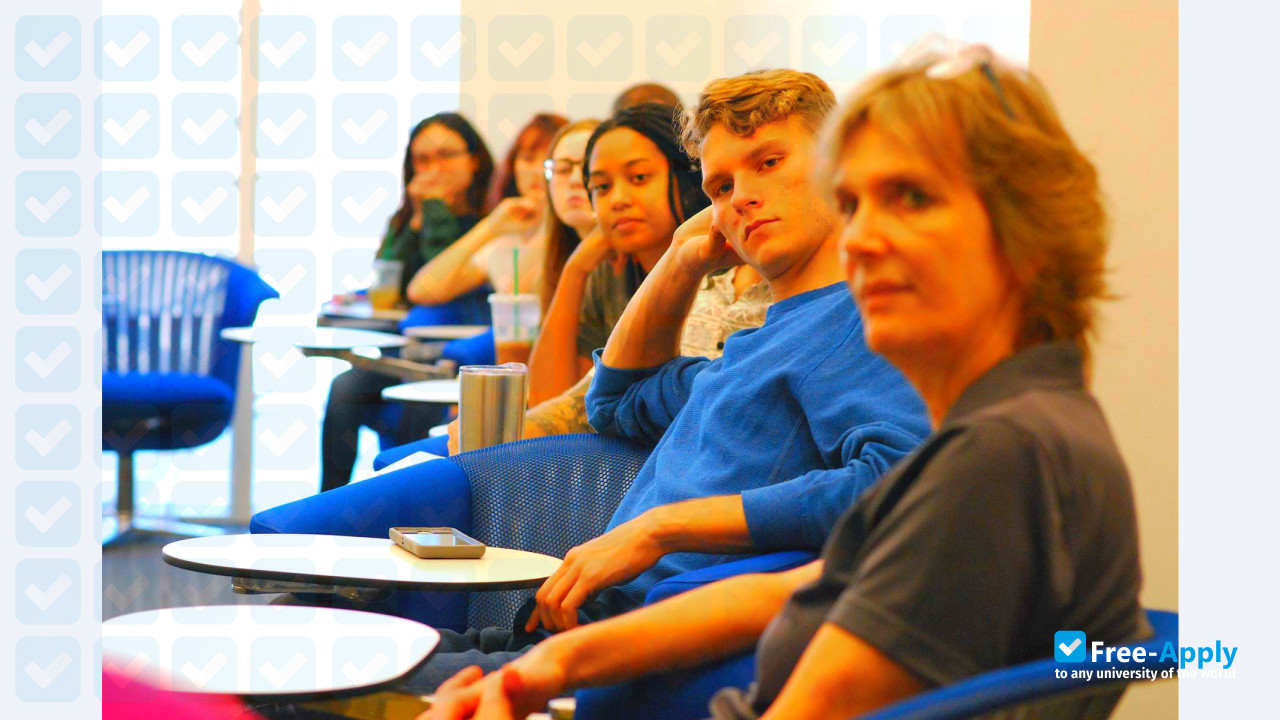 University of South Florida St Petersburg photo #7