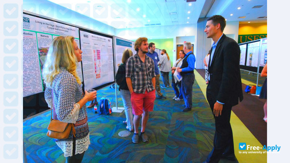 University of South Florida St Petersburg photo #4