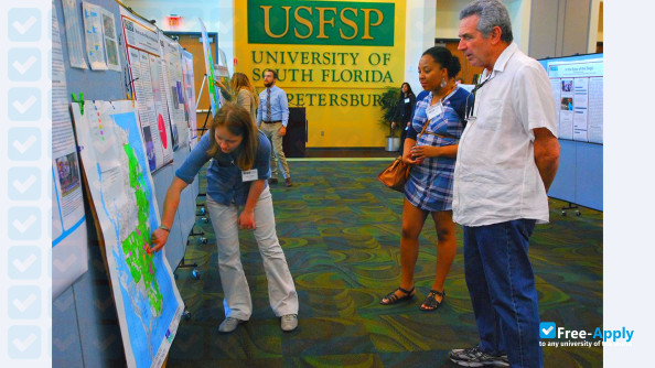 University of South Florida St Petersburg photo #13