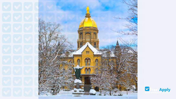 University of Notre Dame photo #11