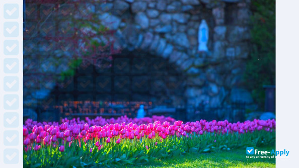 University of Notre Dame photo #2