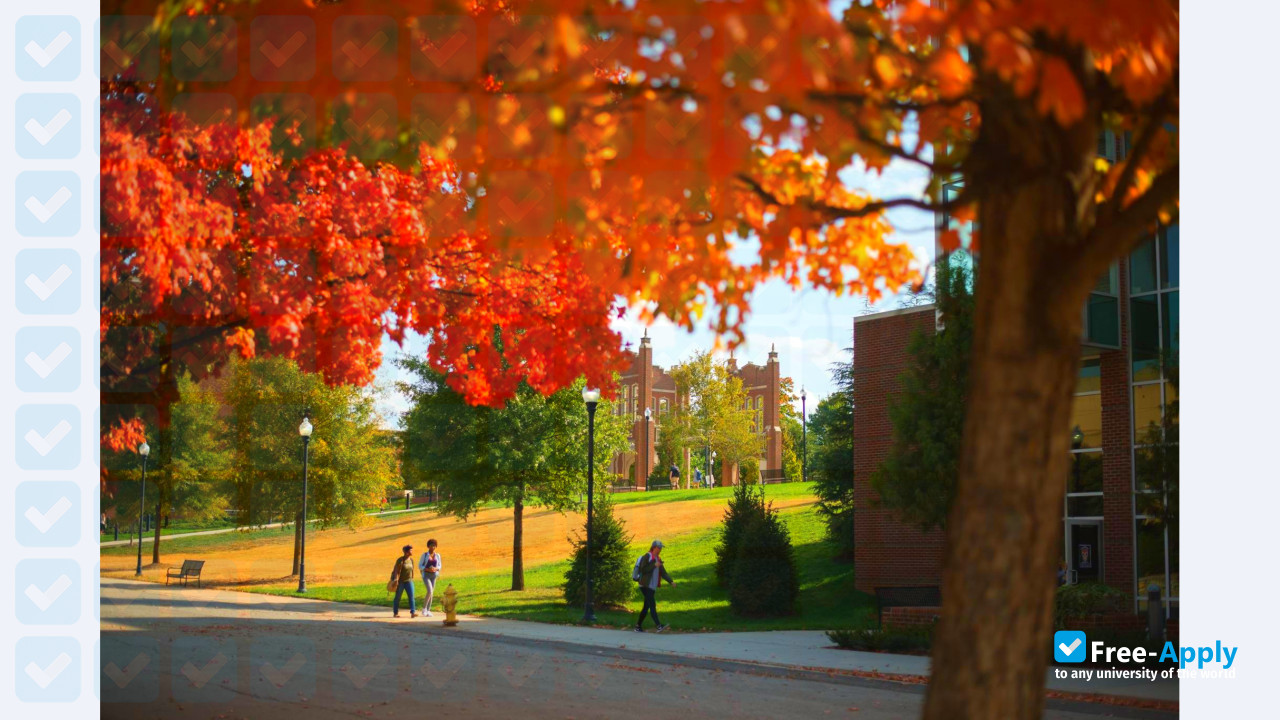 University of Tennessee Chattanooga фотография №14