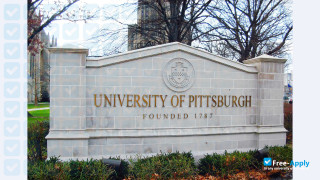 University of Pittsburgh vignette #9