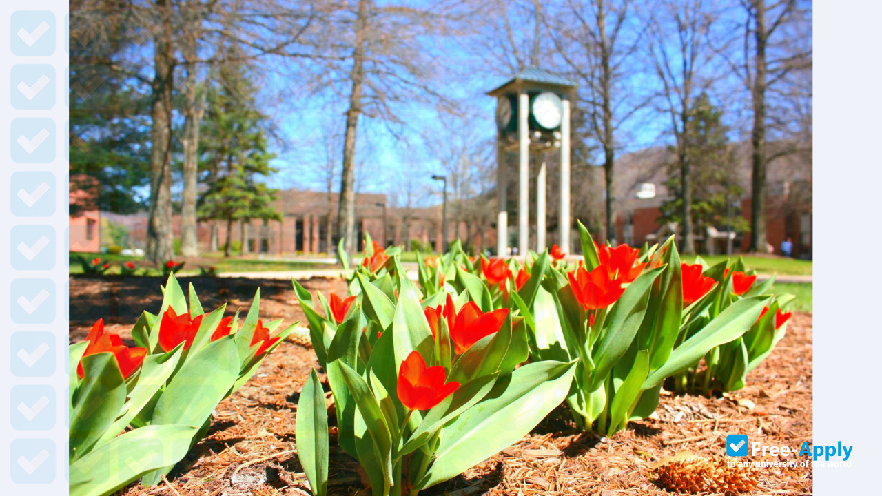 Photo de l’University of Pittsburgh at Bradford #3