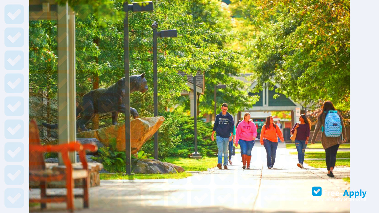 Photo de l’University of Pittsburgh at Bradford #7