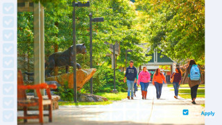 University of Pittsburgh at Bradford thumbnail #4