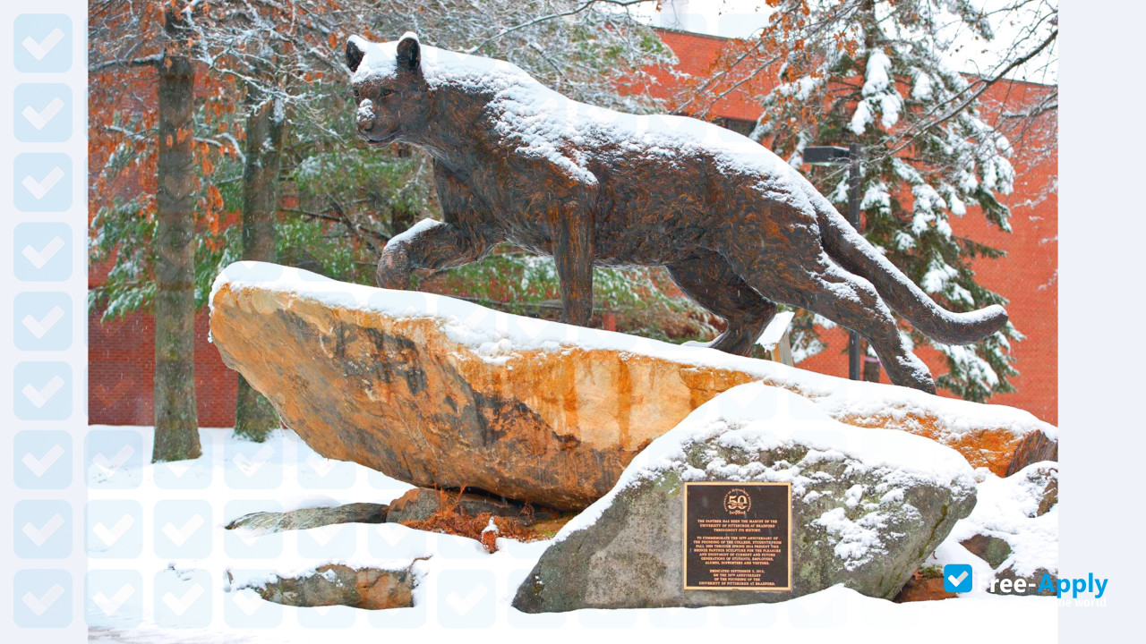 Photo de l’University of Pittsburgh at Bradford #6