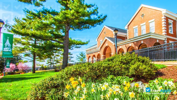 Foto de la Wilmington University #7
