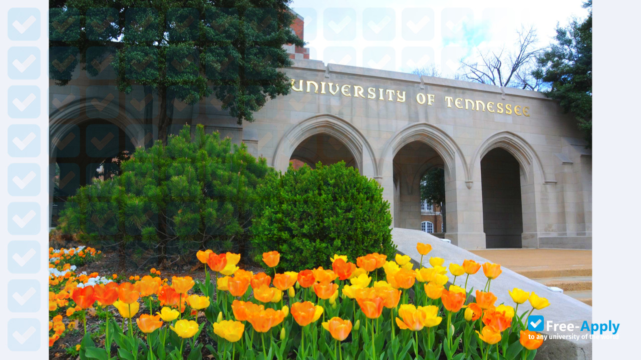 University of Tennessee Health Science Center Memphis фотография №4