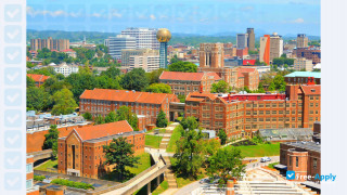 University of Tennessee Knoxville vignette #3