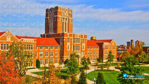 Foto de la University of Tennessee Knoxville #9