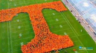 University of Tennessee Knoxville миниатюра №10