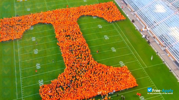 Photo de l’University of Tennessee Knoxville #10