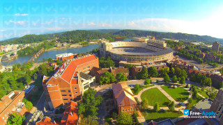 University of Tennessee Knoxville vignette #11