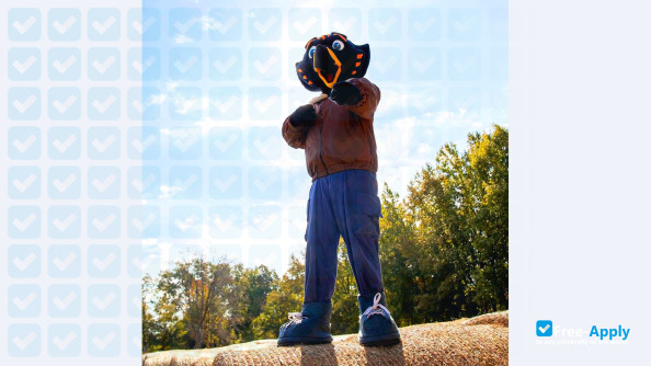 University of Tennessee Martin фотография №11