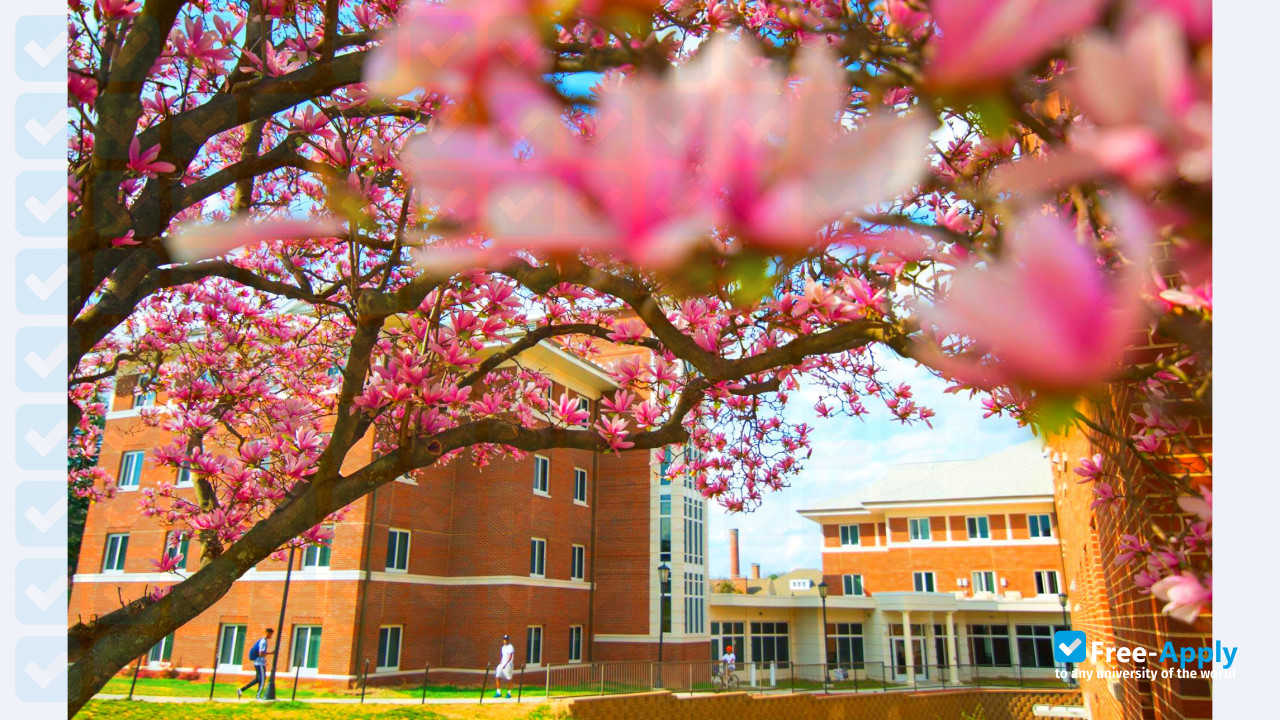 Winston Salem State University photo #6