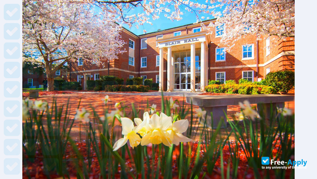 Winston Salem State University photo #10