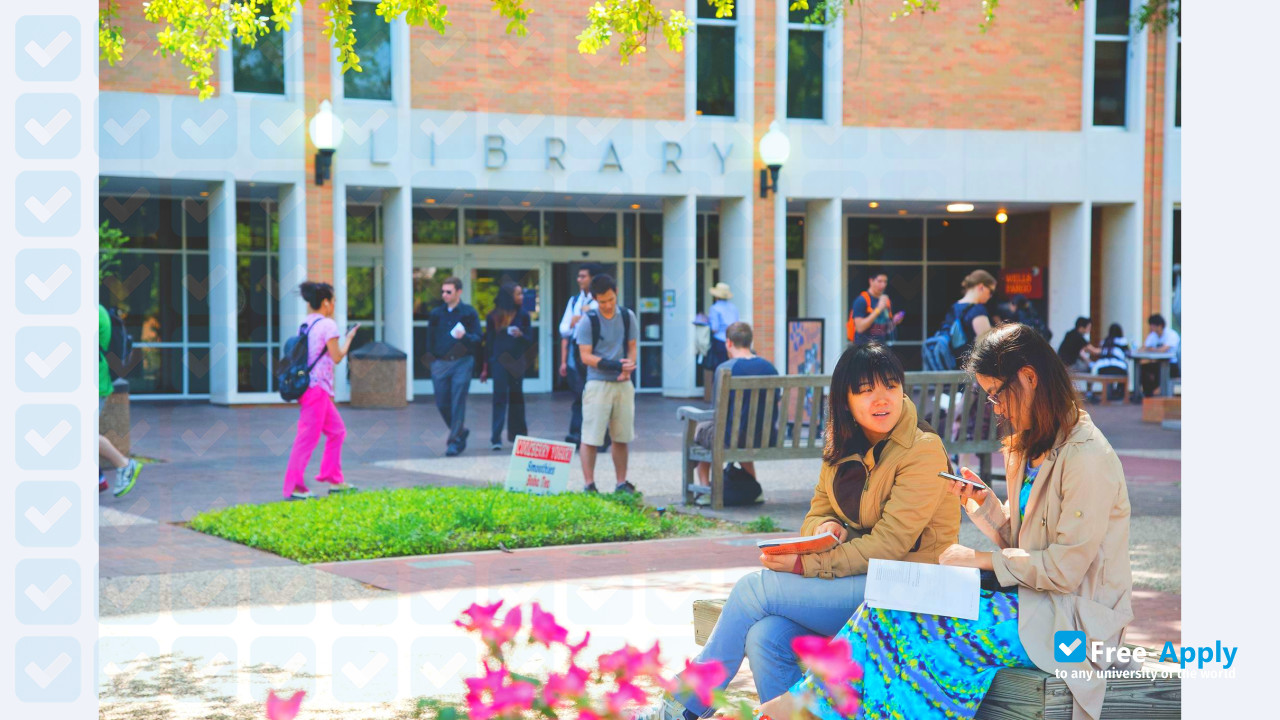 University of Texas Arlington photo #5