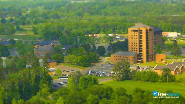 Wallace State Community College Hanceville photo #8