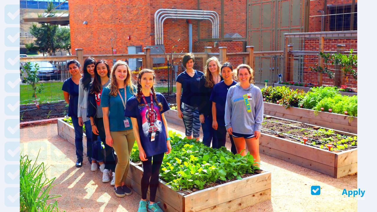 Foto de la University of Texas Health Science Center at Houston #7