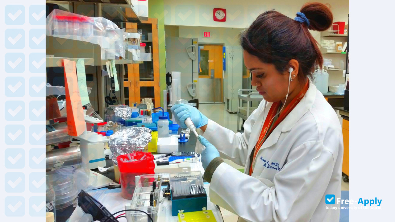 Foto de la University of Texas Health Science Center at Houston #2