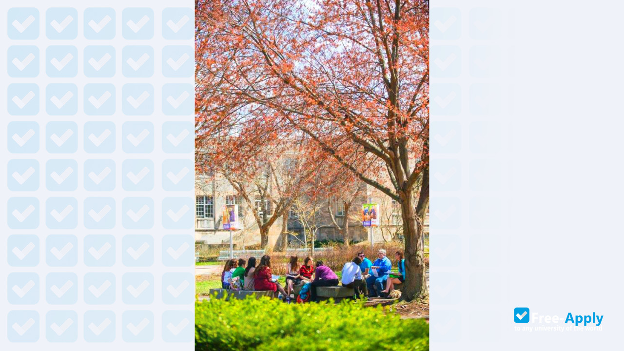University of Evansville photo #9