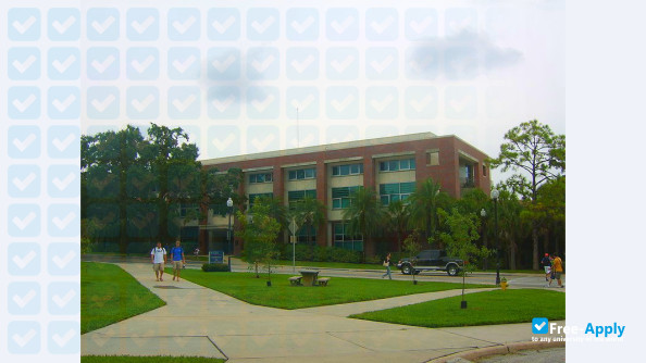 University of Florida photo #11