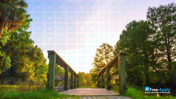 Photo de l’University of Florida #9
