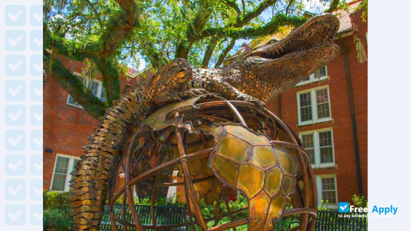 Photo de l’University of Florida #13