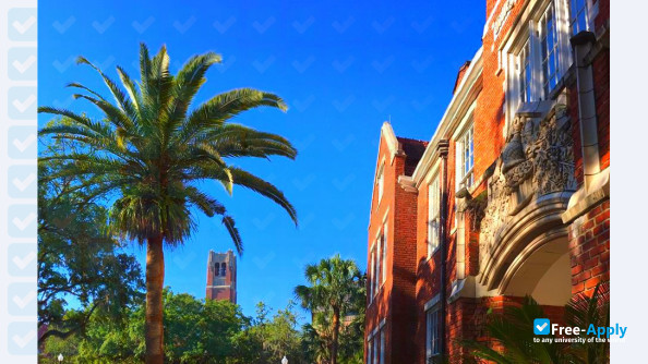 University of Florida photo #2