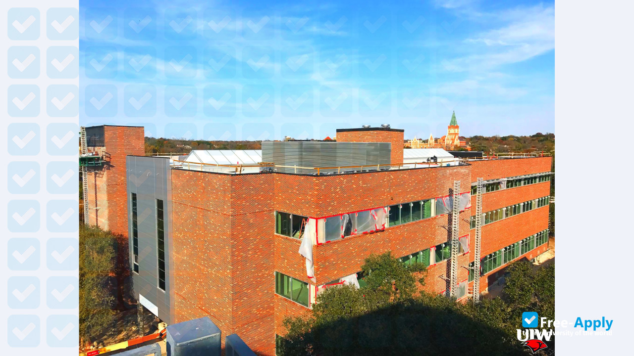 University of the Incarnate Word photo