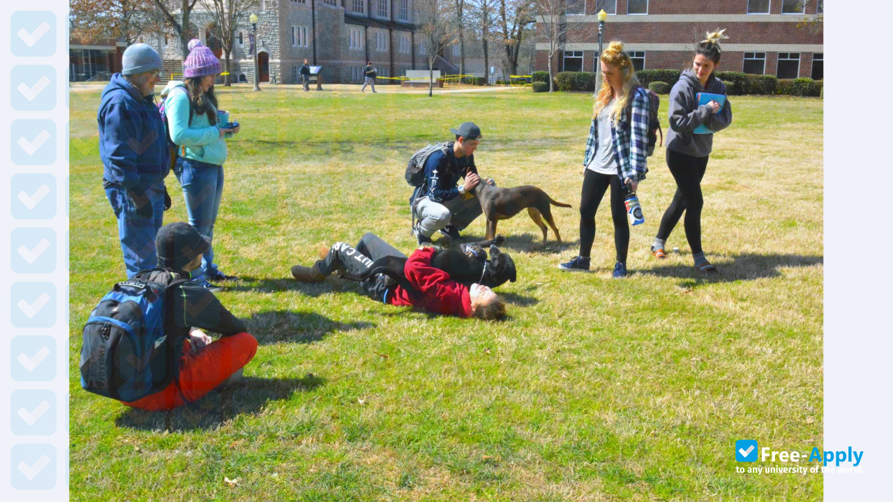 University of the Ozarks photo #6