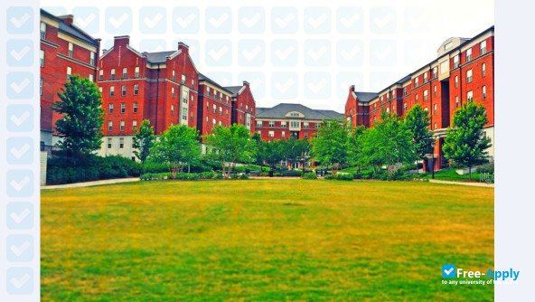 University of Georgia photo #5