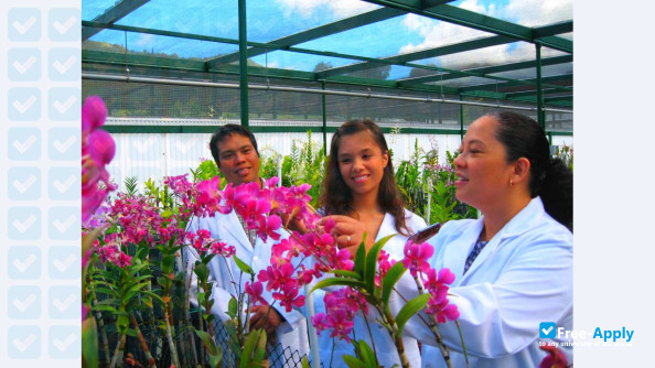 University of Hawaii College of Tropical Agriculture and Human Resources photo #7