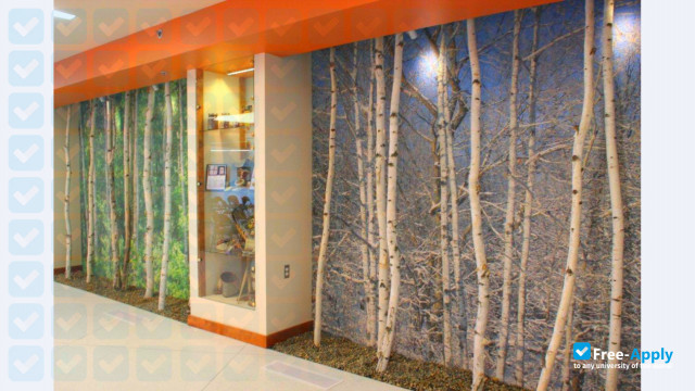 White Earth Tribal & Community College photo #5