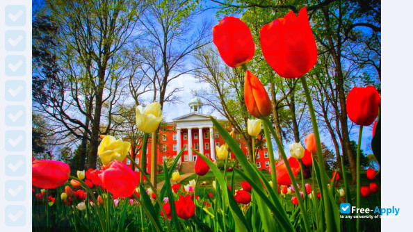 Photo de l’Wittenberg University #3