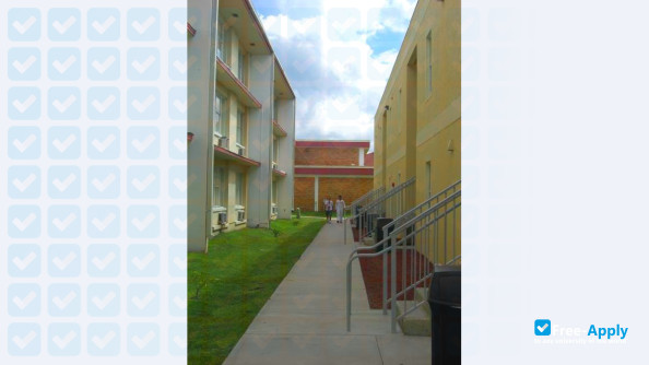 Photo de l’Webber International University #13