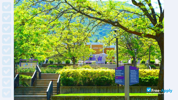 Foto de la Weber State University #6