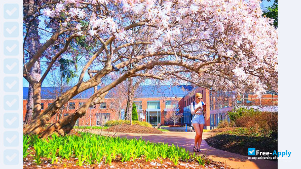 Webster University photo #7