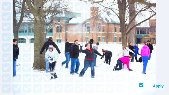 Wartburg College photo #12