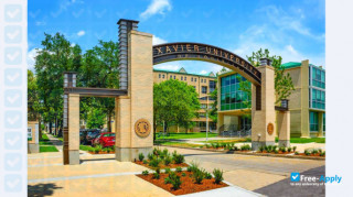 Xavier University of Louisiana thumbnail #2